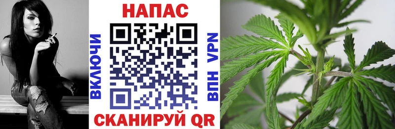 Где купить наркоту Ртищево COCAIN  МЕГА ТОР  Галлюциногенные грибы  ГАШ  Альфа ПВП  Меф 