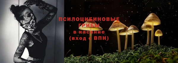 герыч Пересвет