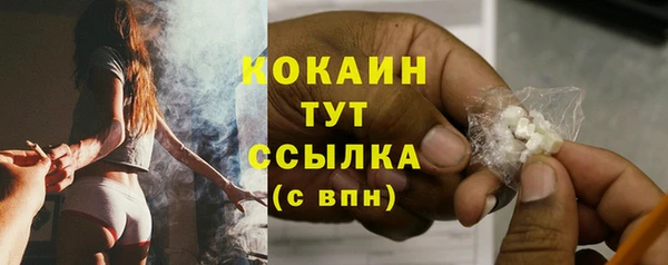 герыч Пересвет
